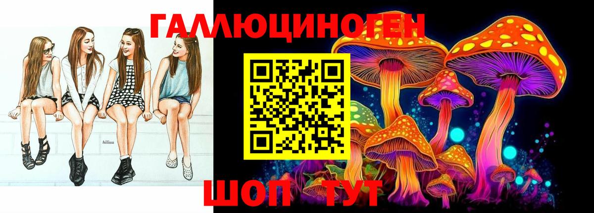 Псилоцибиновые грибы GOLDEN TEACHER  Вход с VPN  Псилоцибиновые грибы мицелий  Моздок 
