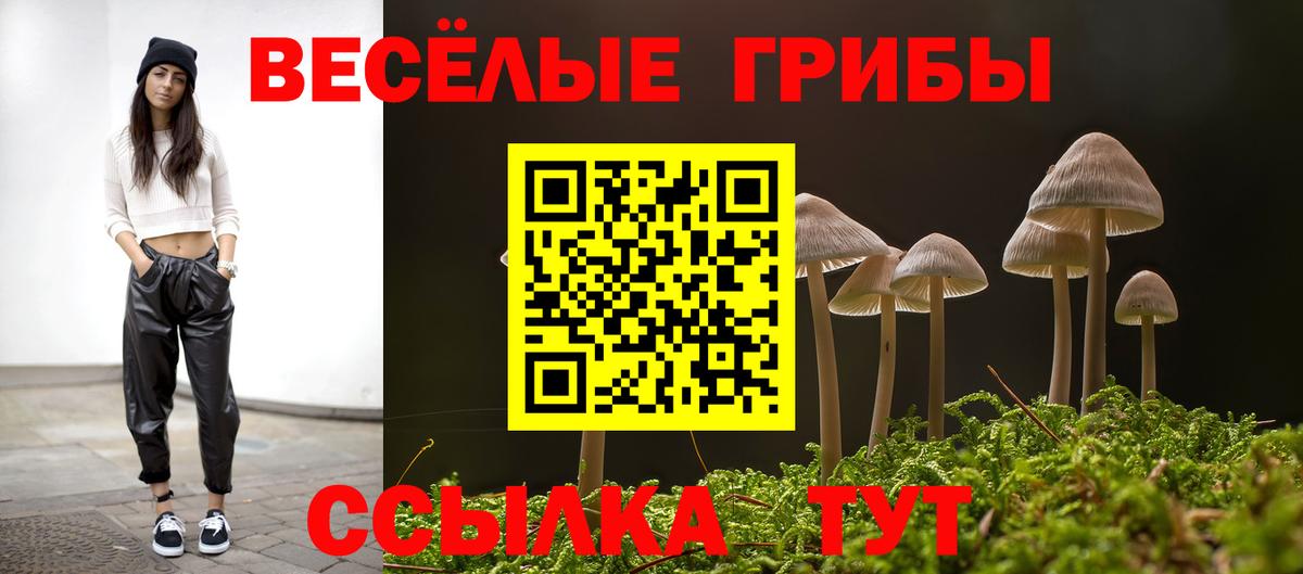 Псилоцибиновые грибы GOLDEN TEACHER Моздок