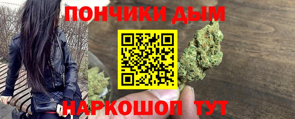 Каннабис планчик Моздок